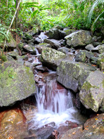 El Yunque Waterfall