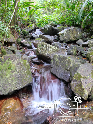 El Yunque Waterfall