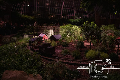 Traing Garden 1