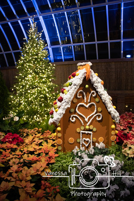 Gingerbread House 2