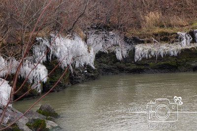 Icy Cove