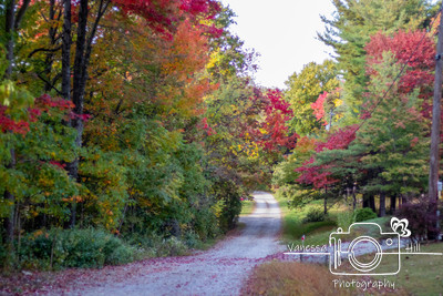 Dirt Road to my Cabin