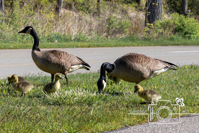 IMG_1467-Edit