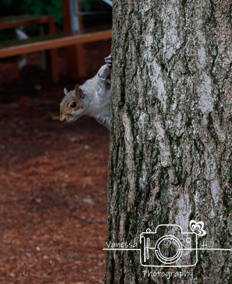 Peek-a-Boo