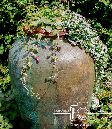 Snapdragon Urn