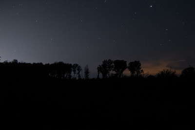 Nightime Wilderness