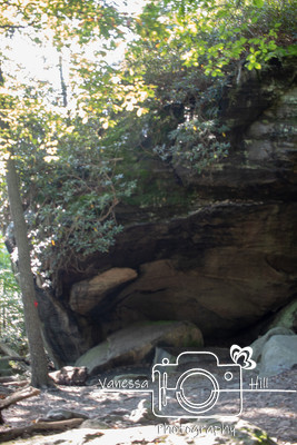 Coopers Rock Underlook