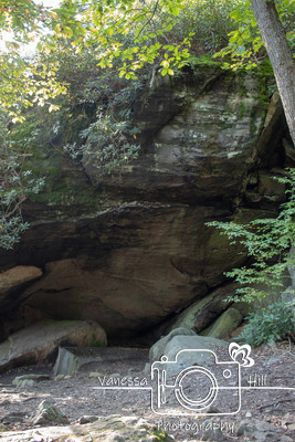 coopers Rock Underlook 2