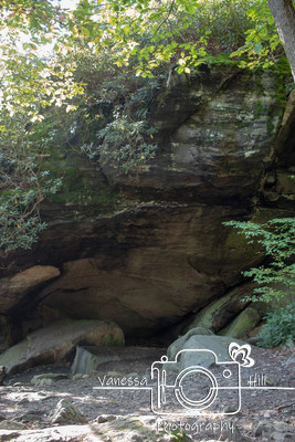 coopers Rock Underlook 3