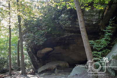 Coopers Rock Underlook 4