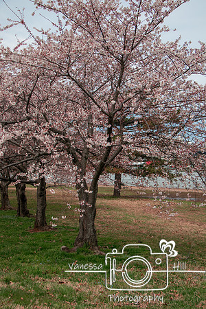 IMG_4871-Edit
