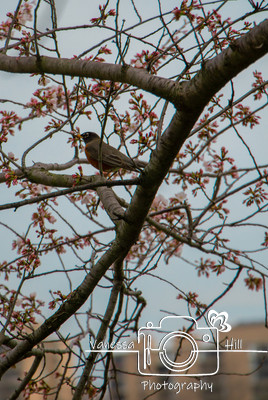 IMG_4872-Edit