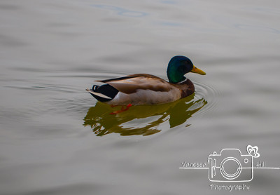 IMG_5070-Edit