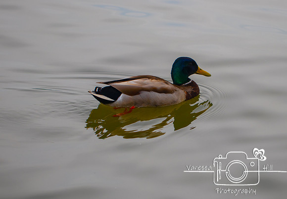 IMG_5070-Edit