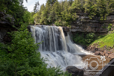 Blackwater Falls