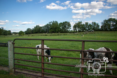 Amish Country