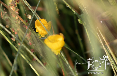 IMG_8594-Edit