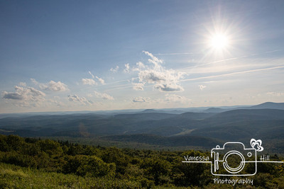 Spruce Mountain Landscape