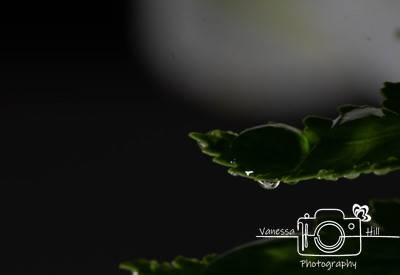 water Drop Reflection