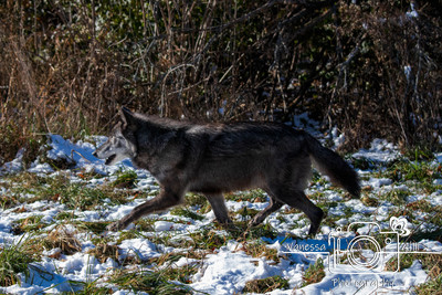 IMG_4504-Edit