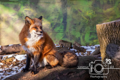 IMG_6411-Edit