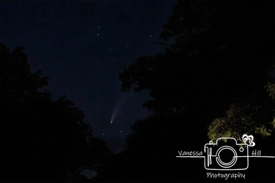 NEOWISE Comet