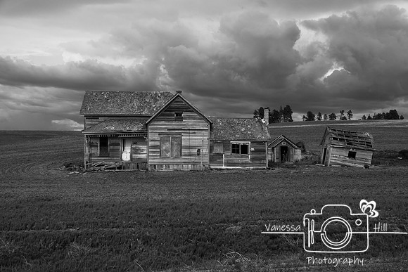 Old House Black and White