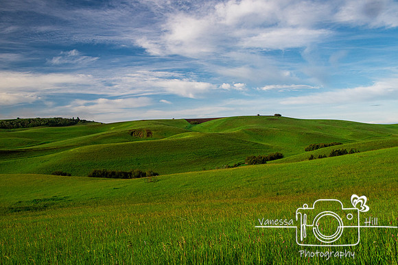 Rolling Hills